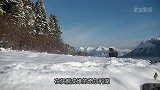 男子在灰熊成堆的奇尔科湖荒野求生天，食物缺乏全靠挨饿