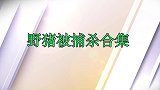 野猪被捕杀精彩合集，被狮子鬣狗撕扯，疯狂厮杀的场面太精彩了