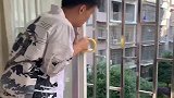 帅哥本想恶搞妹妹，结果却被爸爸打，下一幕心疼他三秒！