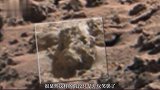 火星照片再次出现“生物”，这次是一只猪，是火星文明养的吗