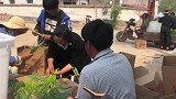邻居几百里捎回来一堆大山药，清香跑来装一兜，赶紧掂回家尝尝鲜
