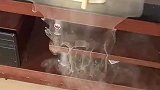 电池怎么自燃了，电动车也是这个原因吗