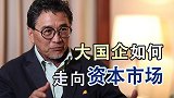 蔡洪平：大国企如何突破重重障碍走向资本市场