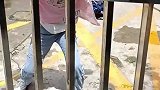 女儿不写作业家长没法管教