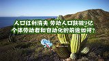 人口红利消失 劳动人口跌破9亿 个体劳动者和自动化的前途如何