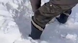 内蒙古的雪有多大，牧民从雪地里挖出掉队小羊
