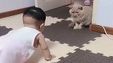 自从这个小祖宗一回家，家里的猫就成了这样，咱也不敢过去问