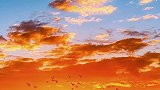 创作灵感  “那天碰巧一起看日落，你没看我，我没看日落” 带你去看海