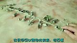 端午节家里挂艾草有讲究，我也是刚学会，看完告诉家人