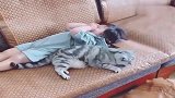 小猫咪和闺女感情太好了，睡觉都要在一起，好有爱呀