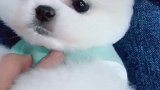 你也太可爱了吧！️️飘吧