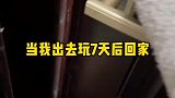 当我玩七天后回家，不认识我了！