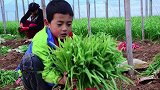 韭菜的自我修养#无用的知识