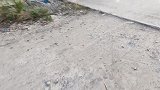 单亲爸爸摆摊卖水果，还要接送孩子上学，真的是又当爹又当妈呀