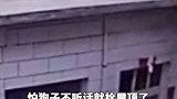 狗狗屋顶玩耍险坠楼，主人及时发现，救回狗命