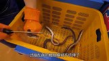 大叔把鳗鱼串在铁签上，徒手剥皮3秒不到，网友：看着好舒服！