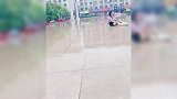 那些猝不及防的失误出糗瞬间，就问你惊不惊喜，看完笑出八块腹肌