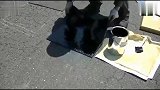 油漆路出现裂痕,看看日本修路工怎么修复,这种方式真的特别