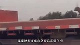 猫：还是自己养的，吃着放心