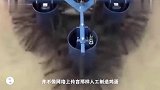 “生产”鸡蛋的工厂，原来还有这么多门道，涨见识了