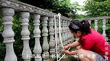 苗大姐4斤帅烧来吃，手撕鸡霸腿狂喝酒，吃得只剩鸡壳子