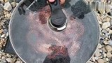 这是海岛大餐，八爪鱼算是吃过瘾了  #vlog日常
