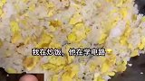主人在做蛋炒饭，猫咪在研究电路