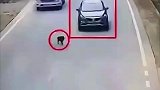 自己不行还怨狗？一条小狗引发的交通事故？交警：真不能怪狗！