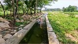 抓住夏天的快乐，是泳池限制了他的发挥