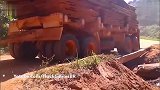 在这样危险的道路上,恐怕也只有老司机才敢开车上去吧