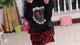 小孩子才艺表演