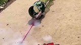 给鱼护开光，人才啊