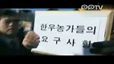 韩国牧民抗议肉价下跌赶牛闯首尔被截
