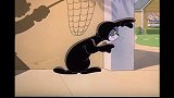 猫和老鼠：汤姆骗小海豹却被驯养员抓走