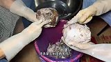2元1个，福建大叔创业做闽南小吃，经常不到3小时1000个就卖光