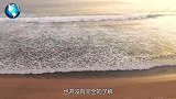 我国东海发现神秘石脸，专家研究3天后：人类要小心了！
