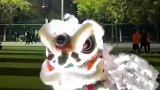 学生在操场上表演舞狮引围观，炫酷又拉风