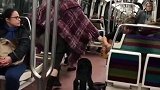 这里的狗狗太牛了！