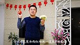 花菜配上西红柿，做出菜品色泽鲜艳，酸甜有营养，特别适合素食者