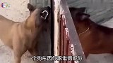 那些瞬间尴尬现场，最怕空气突然安静！