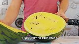 大开眼界！把西瓜放进土坑里30天，老外亲测！结果如何呢？