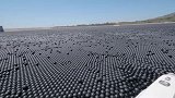 水库里装满了9600万个黑色小球，它们到底有什么用？