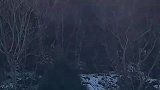 男子滑雪没刹住，跟女生撞在一起