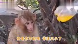 老丈人，可以申请七天无理由退货吗