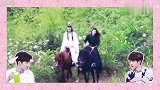 肖战王一博唯粉为什么要拆博君一肖