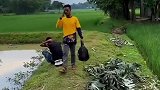 这是什么操作