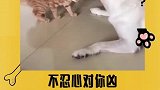 不忍心对你凶啊！！