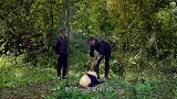 熊猫宝宝集体“越狱”有多搞笑？突然谁大吼一声，接下来憋住别笑