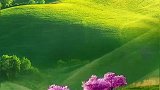 治愈系风景，希望这样的画面能够给你带来不一样的心情