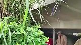 桥洞底下的生活，这可是我梦寐以求的地方
